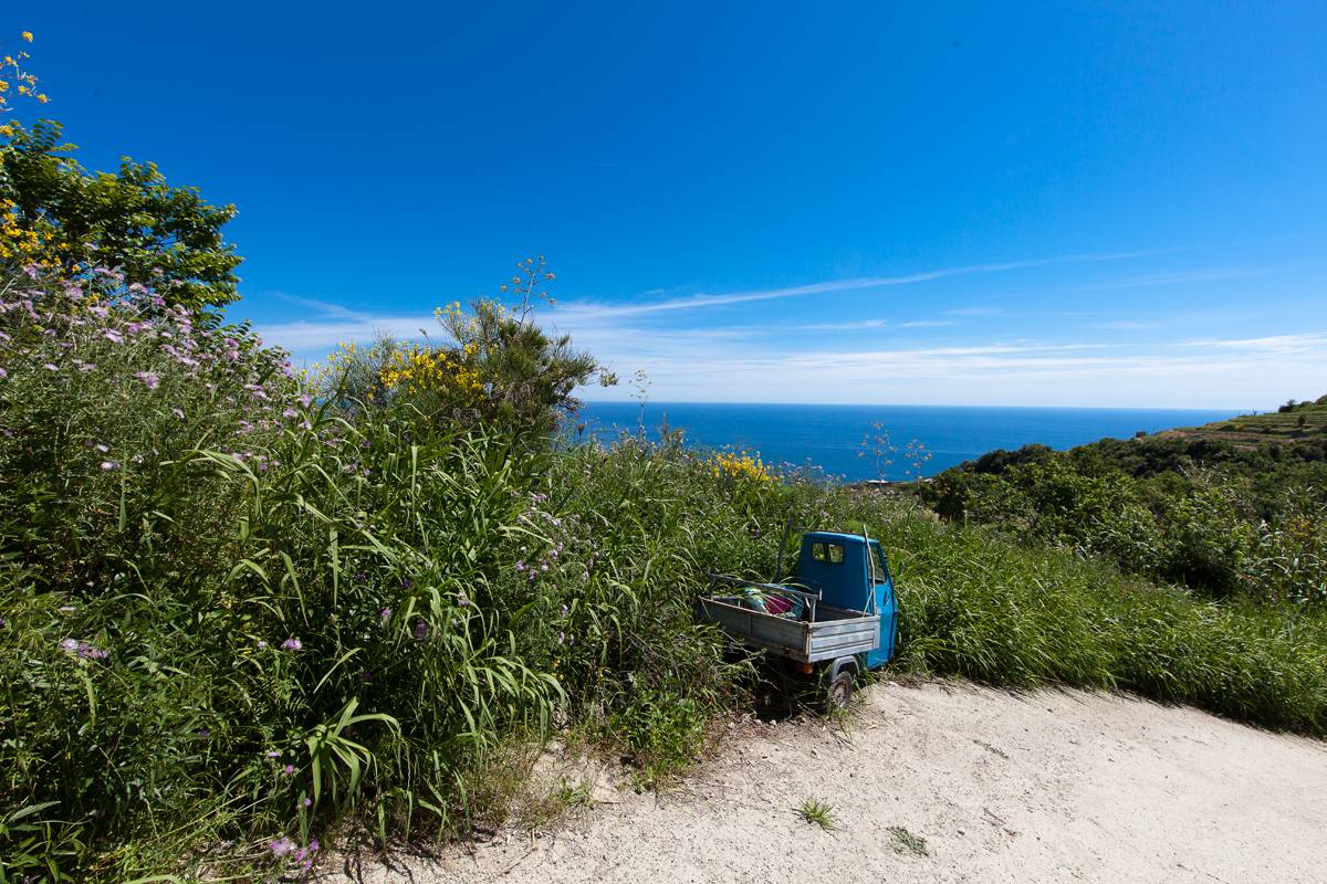 Isola d’Ischia